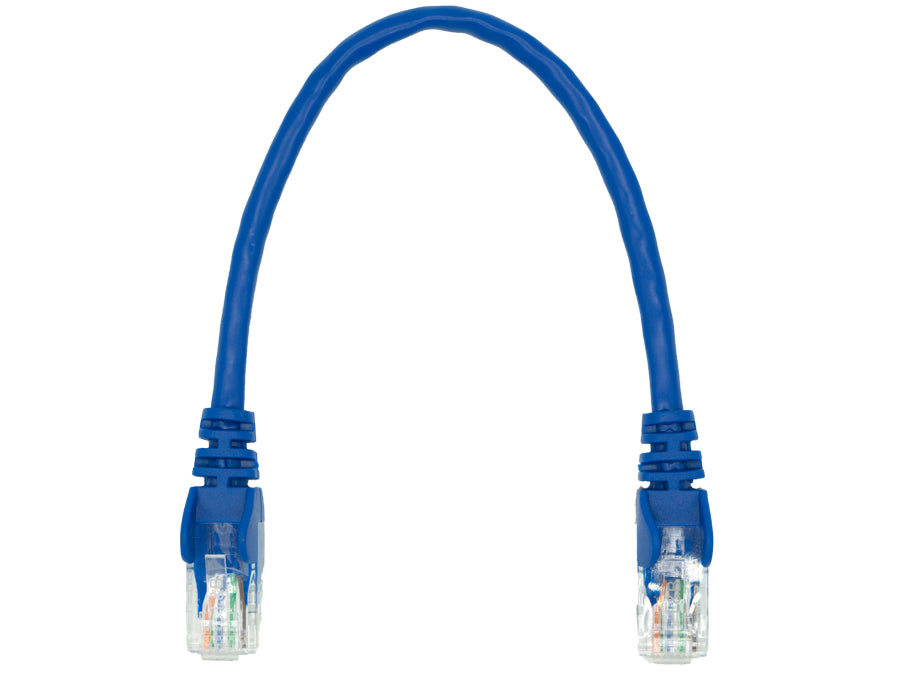 Linkbasic 22cm UTP Cat5e Flylead Blue | Linkbasic | Buy in South Africa — Mozee Solutions